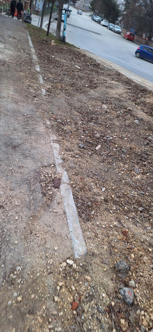 593422483 844003065185585 3976584317211309611 N