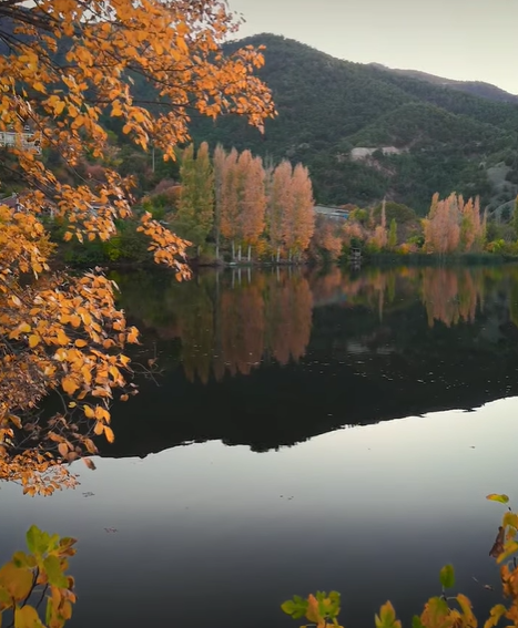 Ekran Görüntüsü 2025 12 10 202809