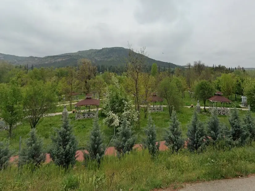 Eskisehir Orman Fidanligi 51488