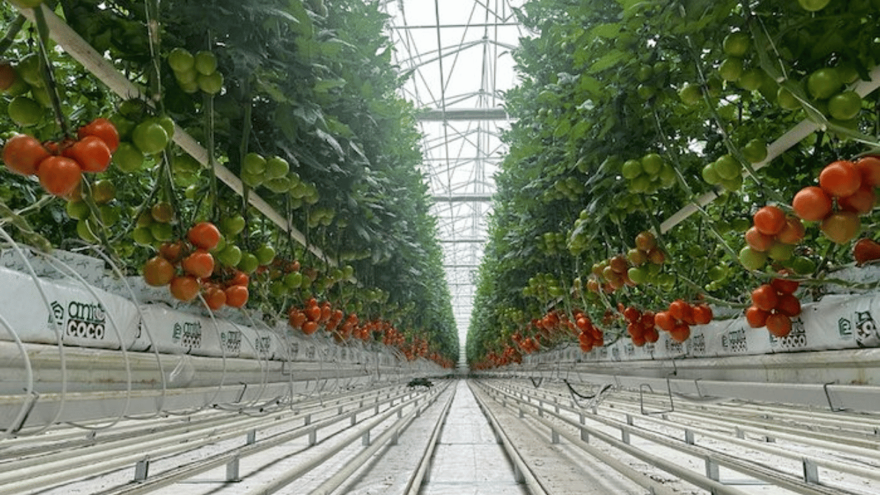 Eskişehir’de 4 Jeotermal Sondaj Kuyusu Açılacak (3)