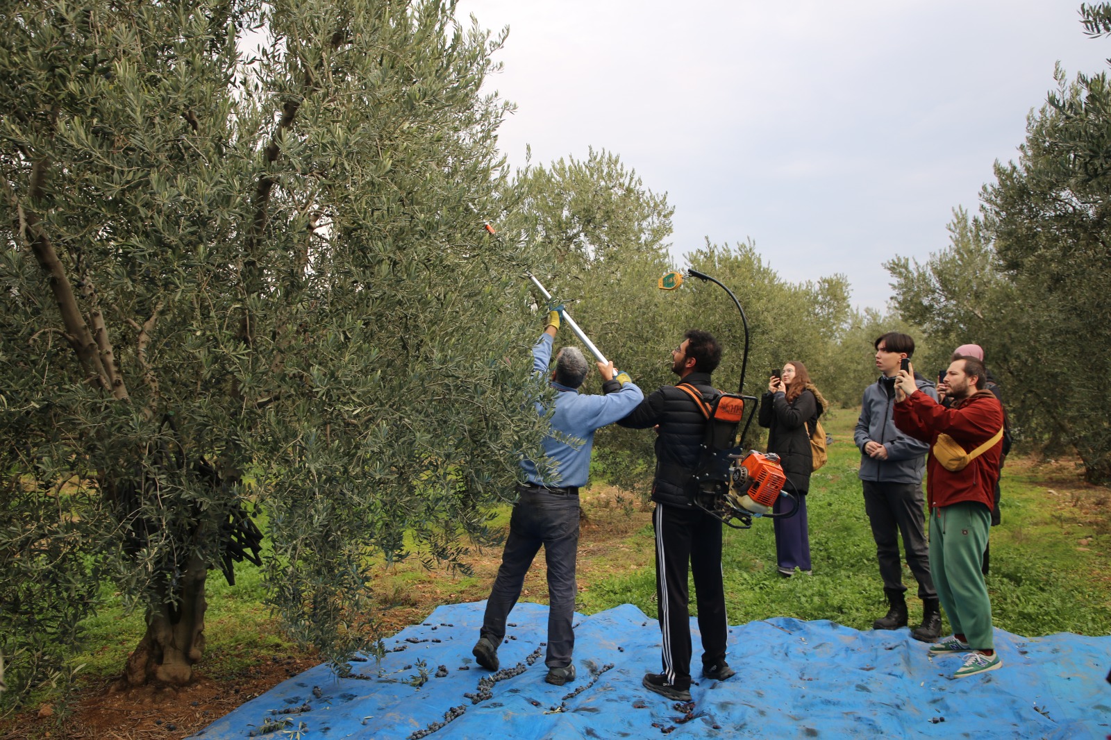 Gençler Zeyti̇ni̇n Yolculuğuna Taniklik Etti̇ (2)