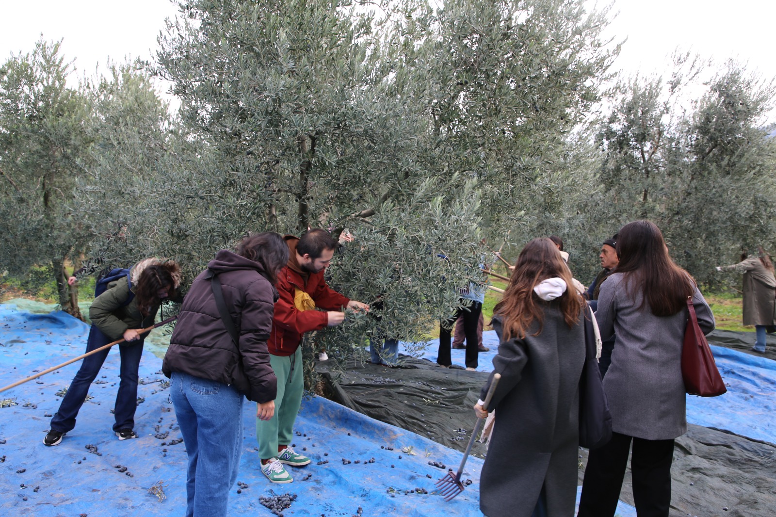 Gençler Zeyti̇ni̇n Yolculuğuna Taniklik Etti̇ (9)