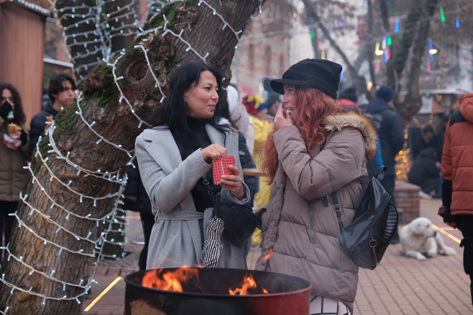 Odunpazarı’nda Yeni Yıl Heyecanı Yeniden Başlıyor (14)