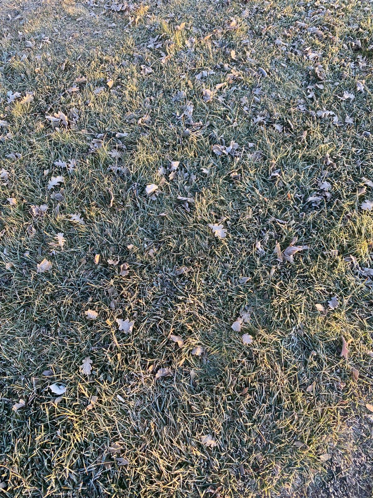 Whatsapp Image 2025 12 17 At 09.28.44