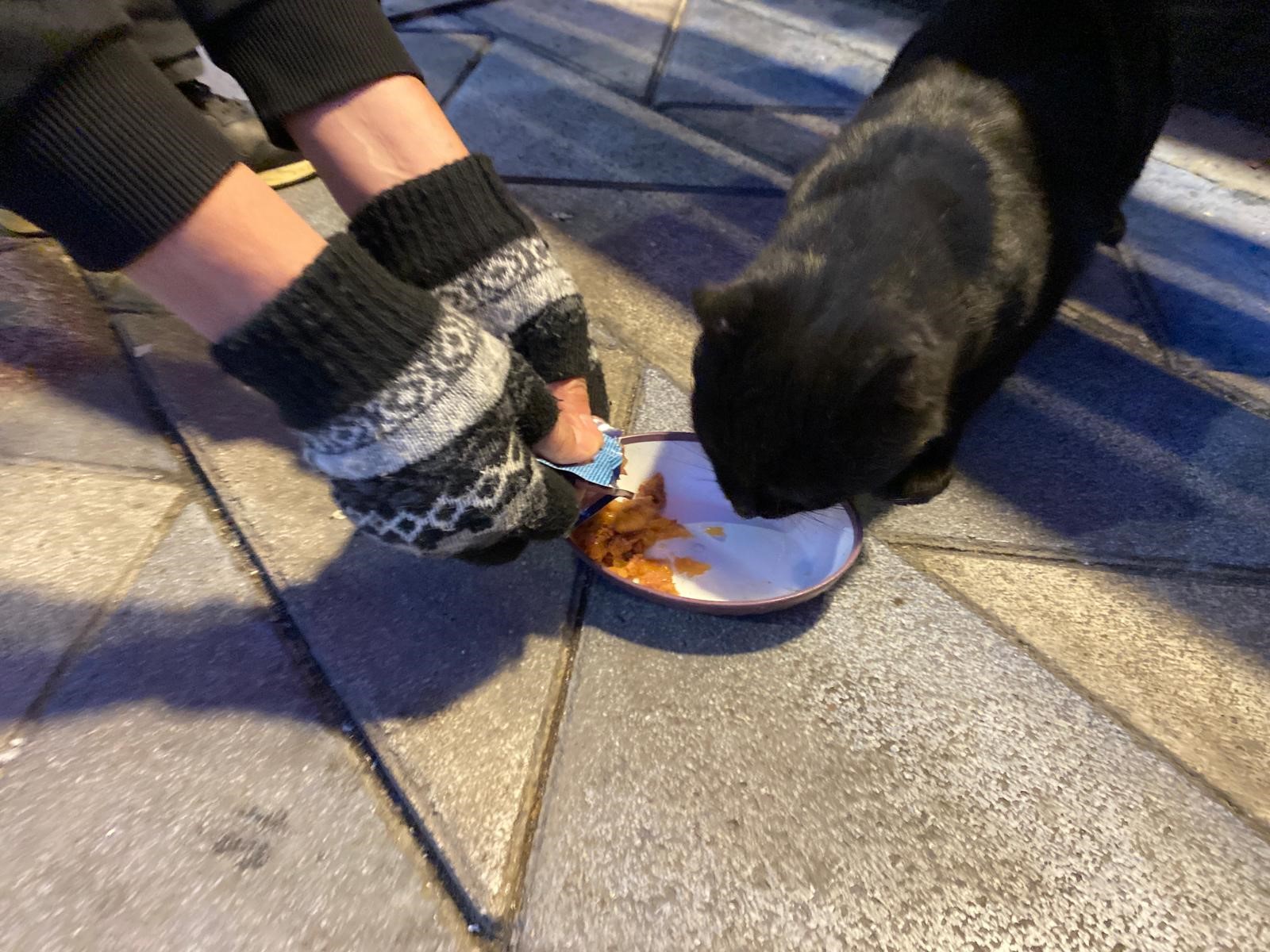 Whatsapp Image 2025 12 20 At 11.25.59