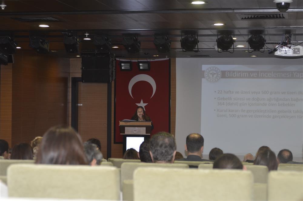 Whatsapp Image 20251215 At 131417Jpeg-1