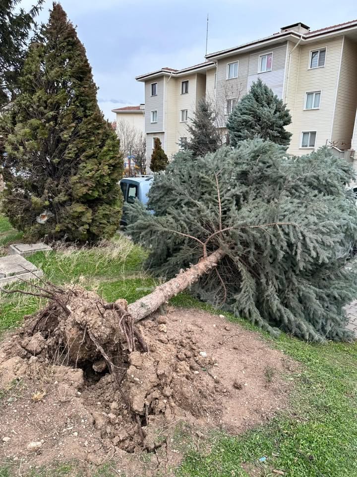 608517136 25826131553687427 5635521130930867029 N