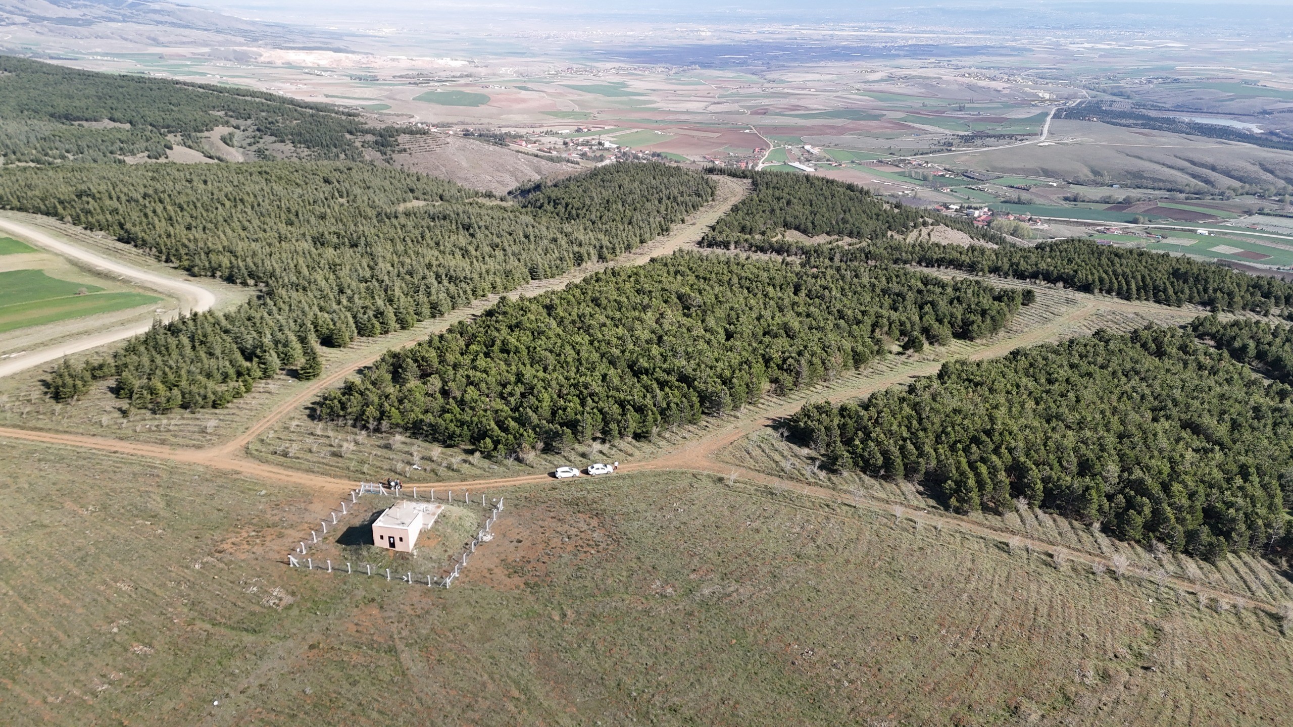 Eskişehir Cinayet (2)