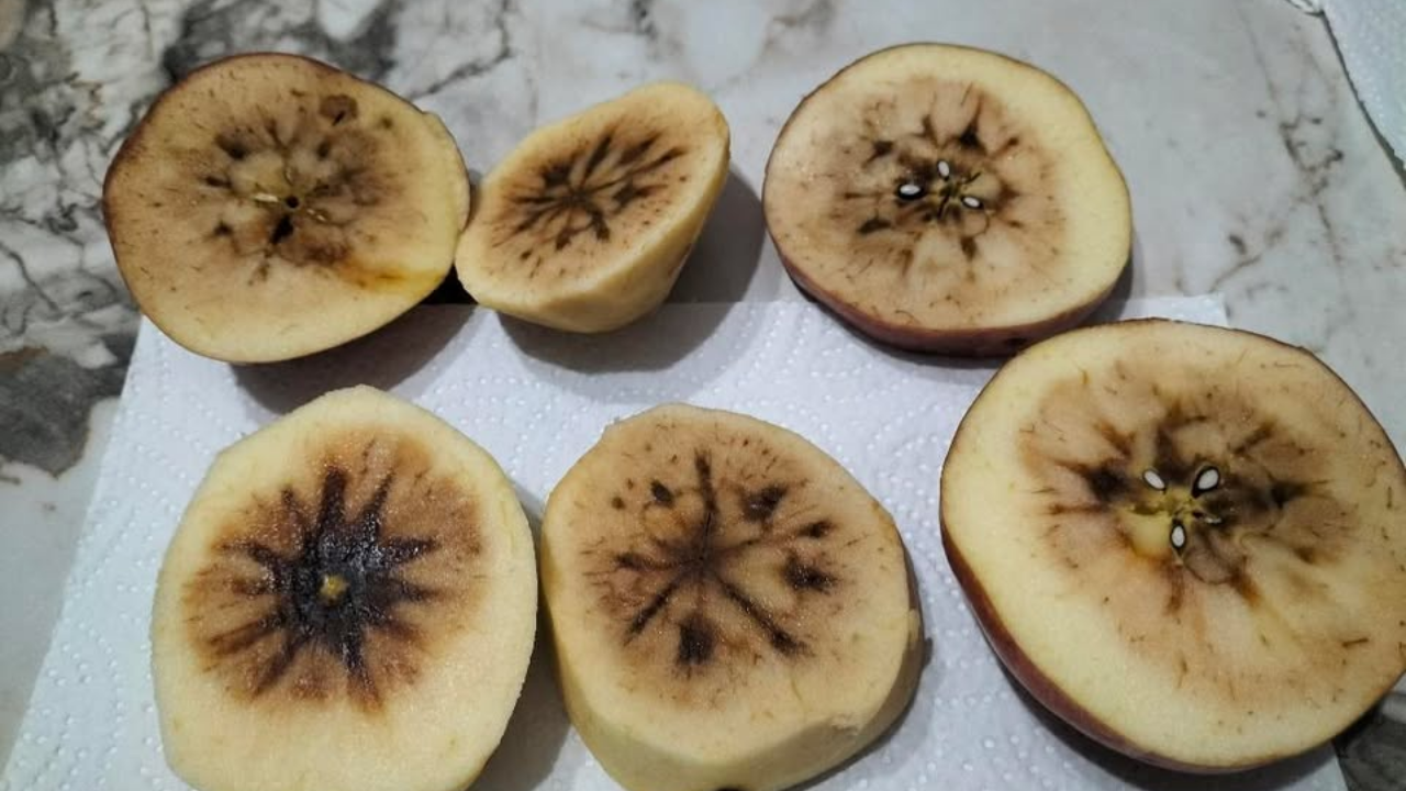 Eskişehir'de Pazarda Satılan Çürük Elmalar Tepki Topladı Yazıklar Olsun