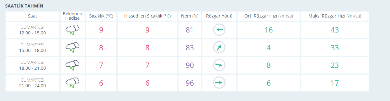 Image 20260131120941 1