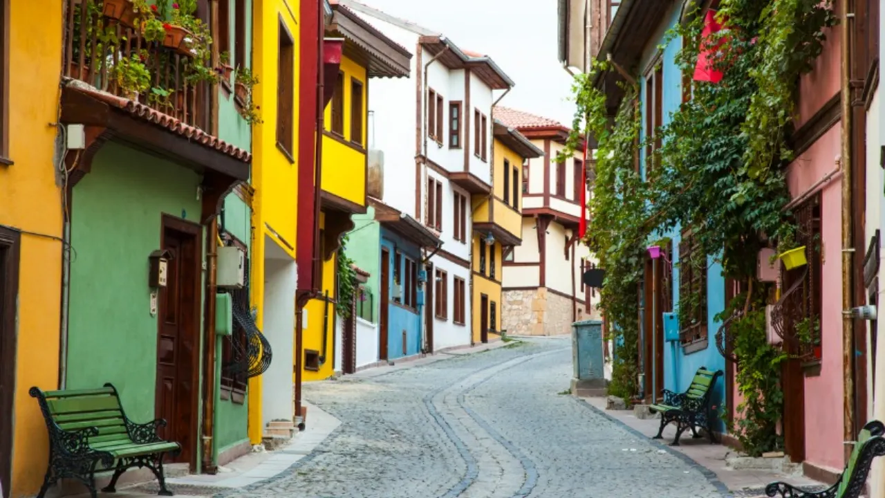 Odunpazari Evleri 1-1