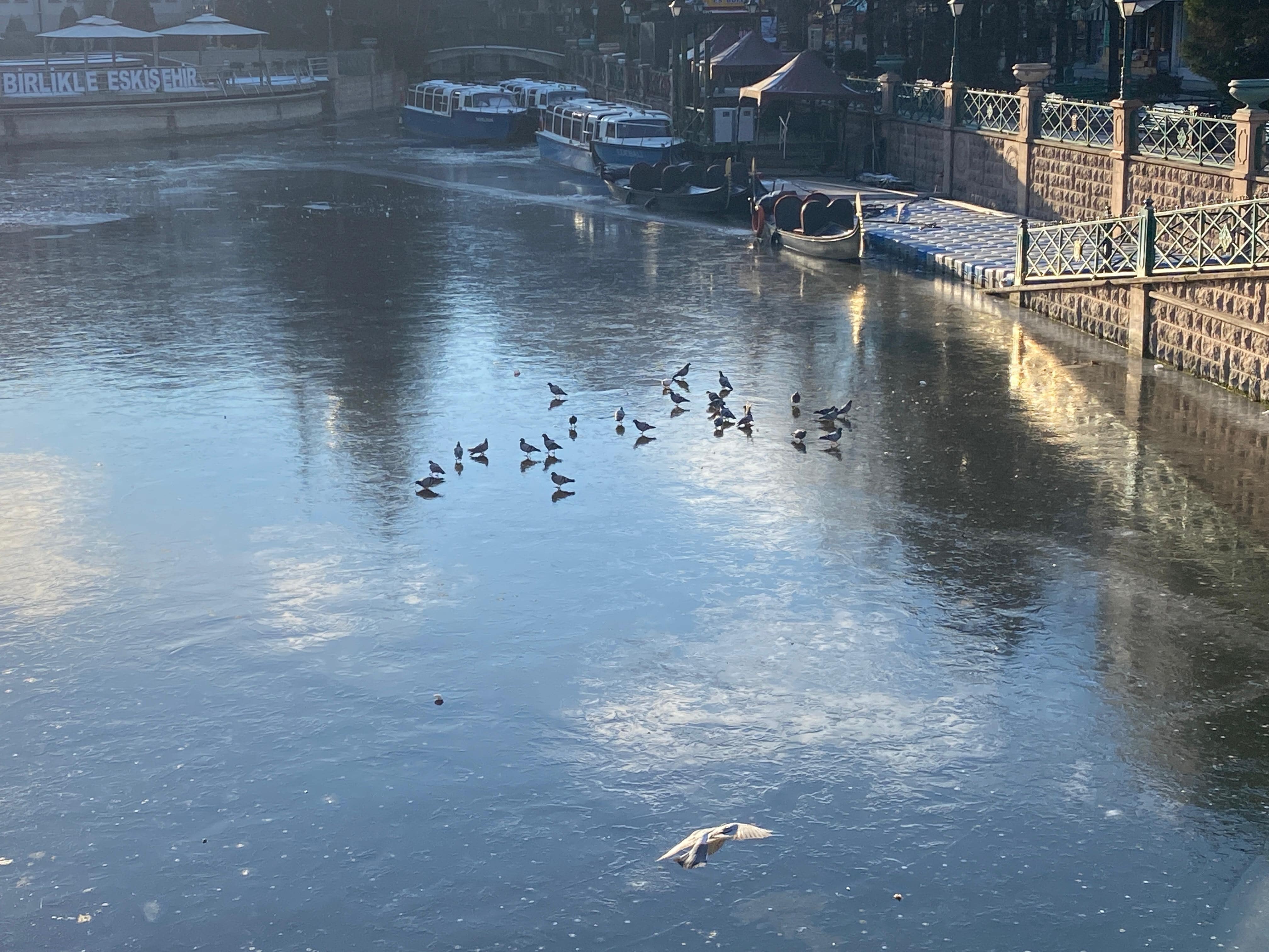 Porsuk Çayı'nın Buz Tutan Yüzeyi Çöple Kaplanmaya Başladı (1) Min