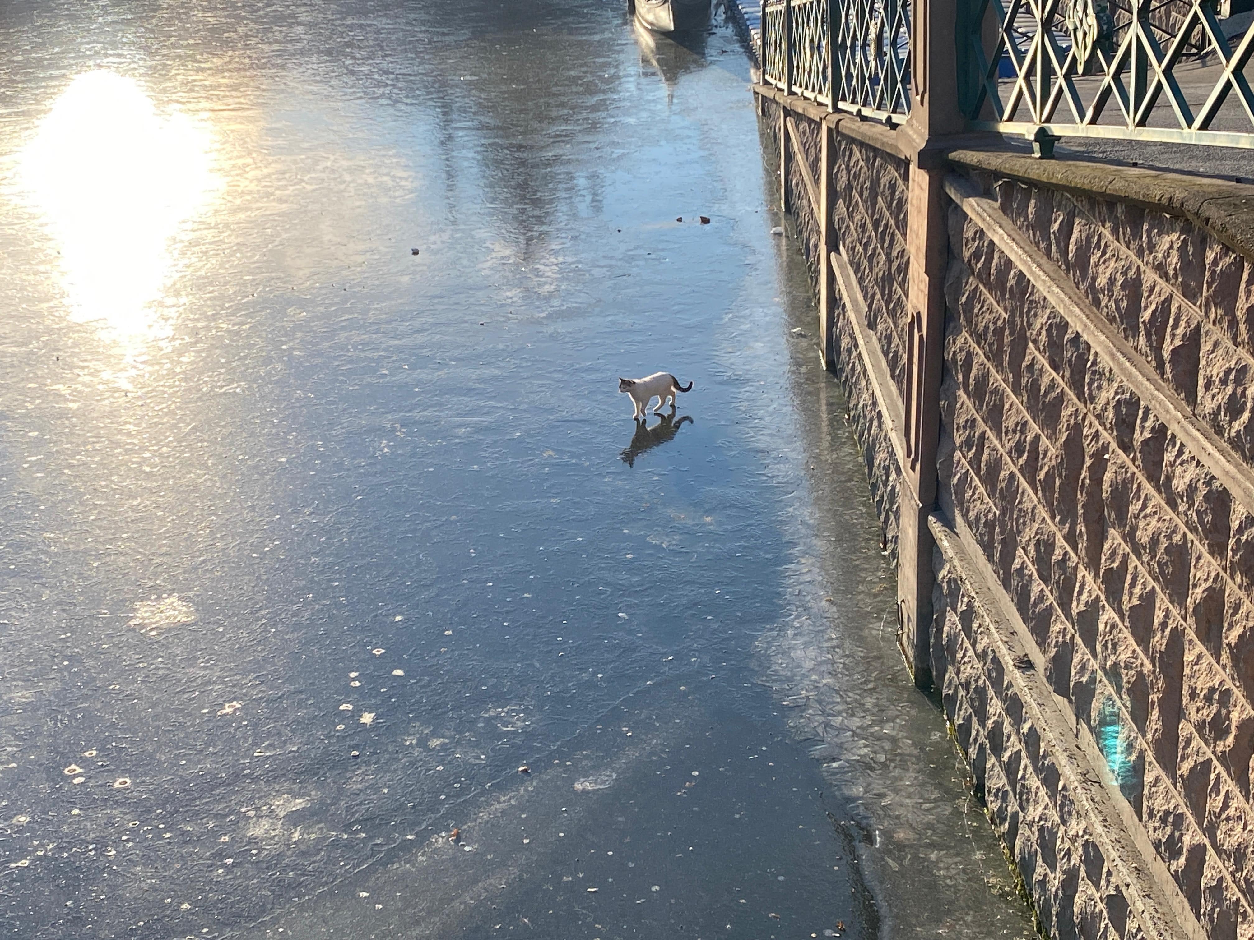 Porsuk Çayı'nın Buz Tutan Yüzeyi Çöple Kaplanmaya Başladı (2) Min