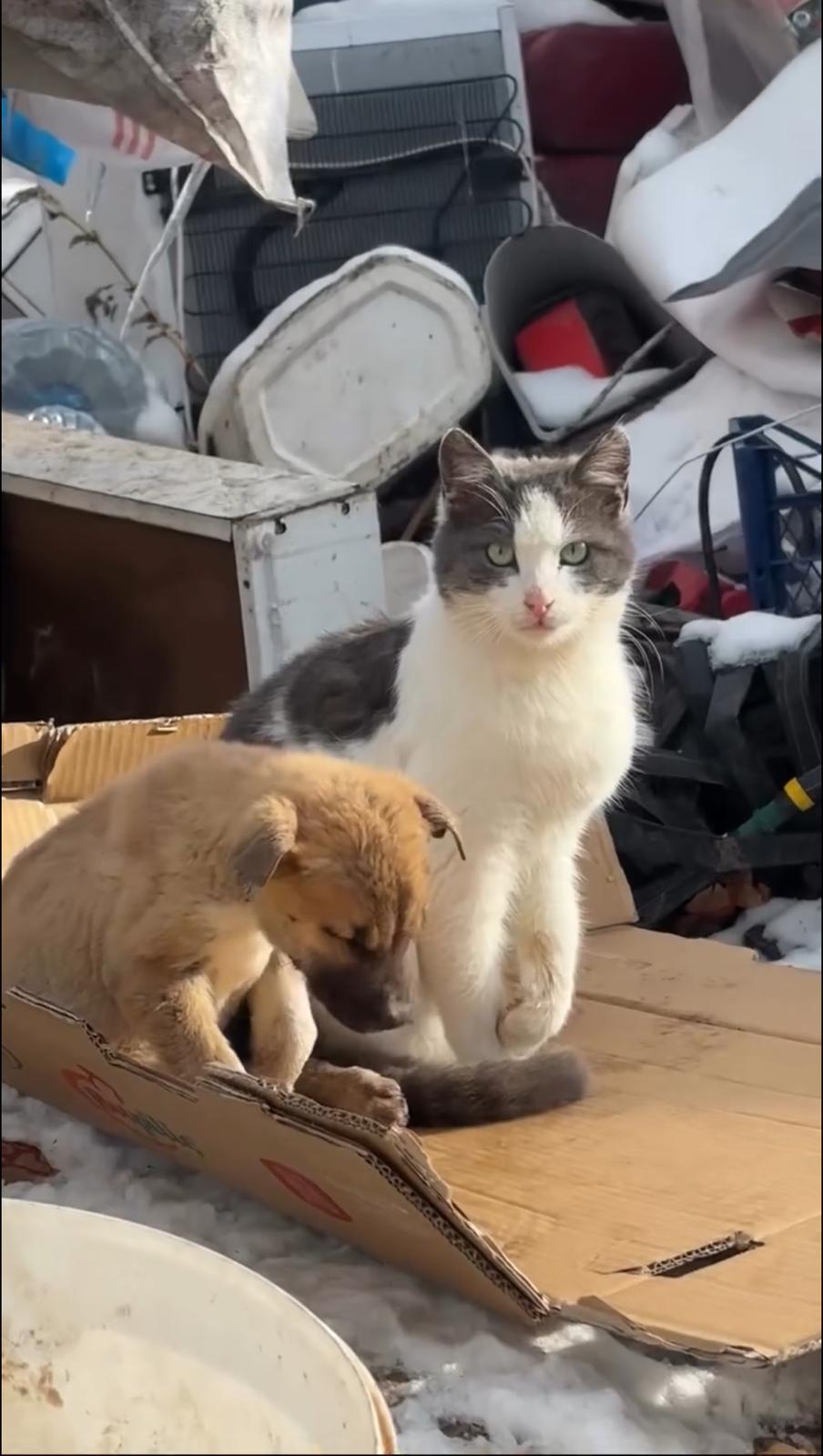 Whatsapp Image 2026 01 03 At 20.30.26