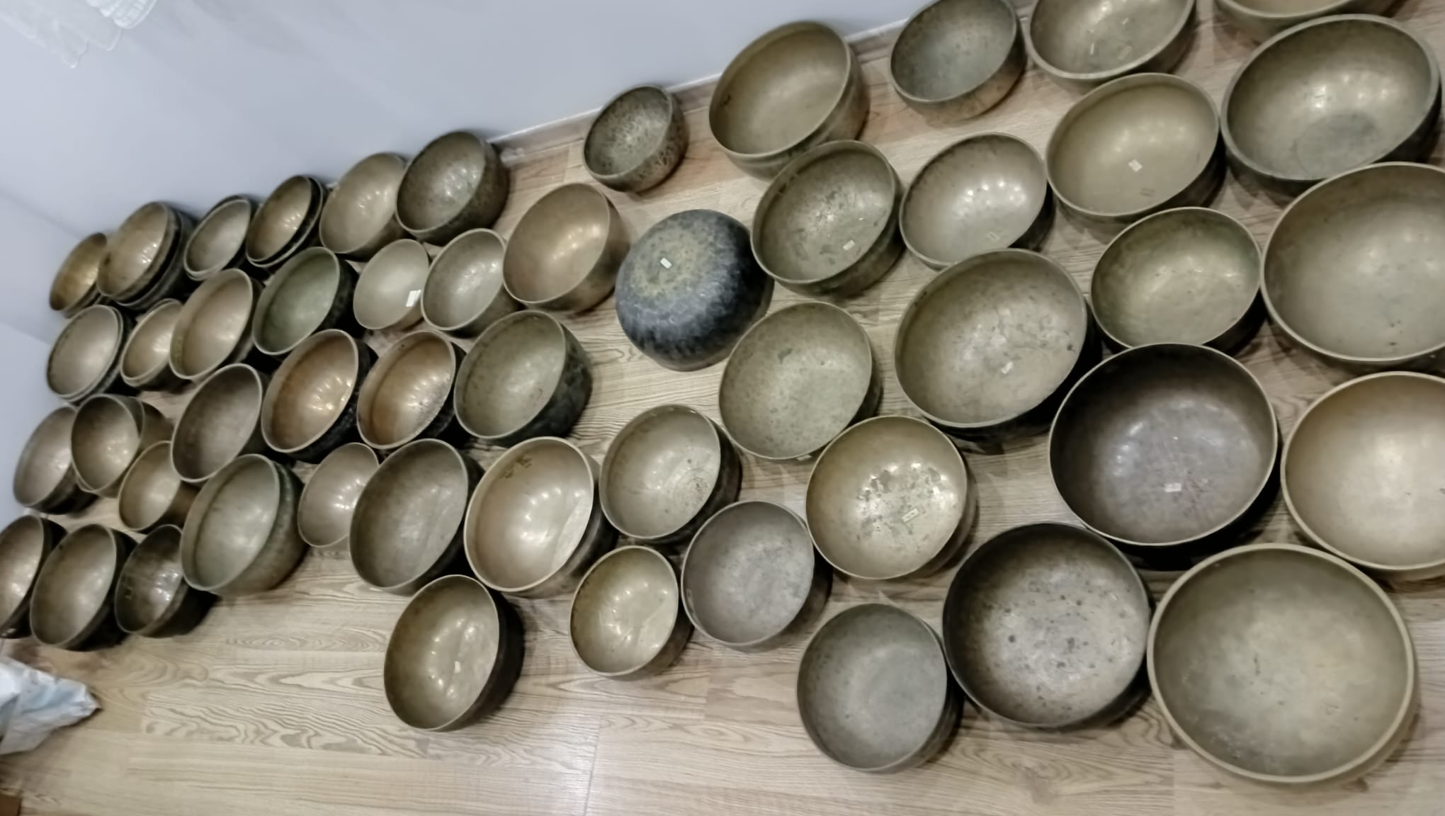 Whatsapp Image 2026 01 30 At 12.53.39