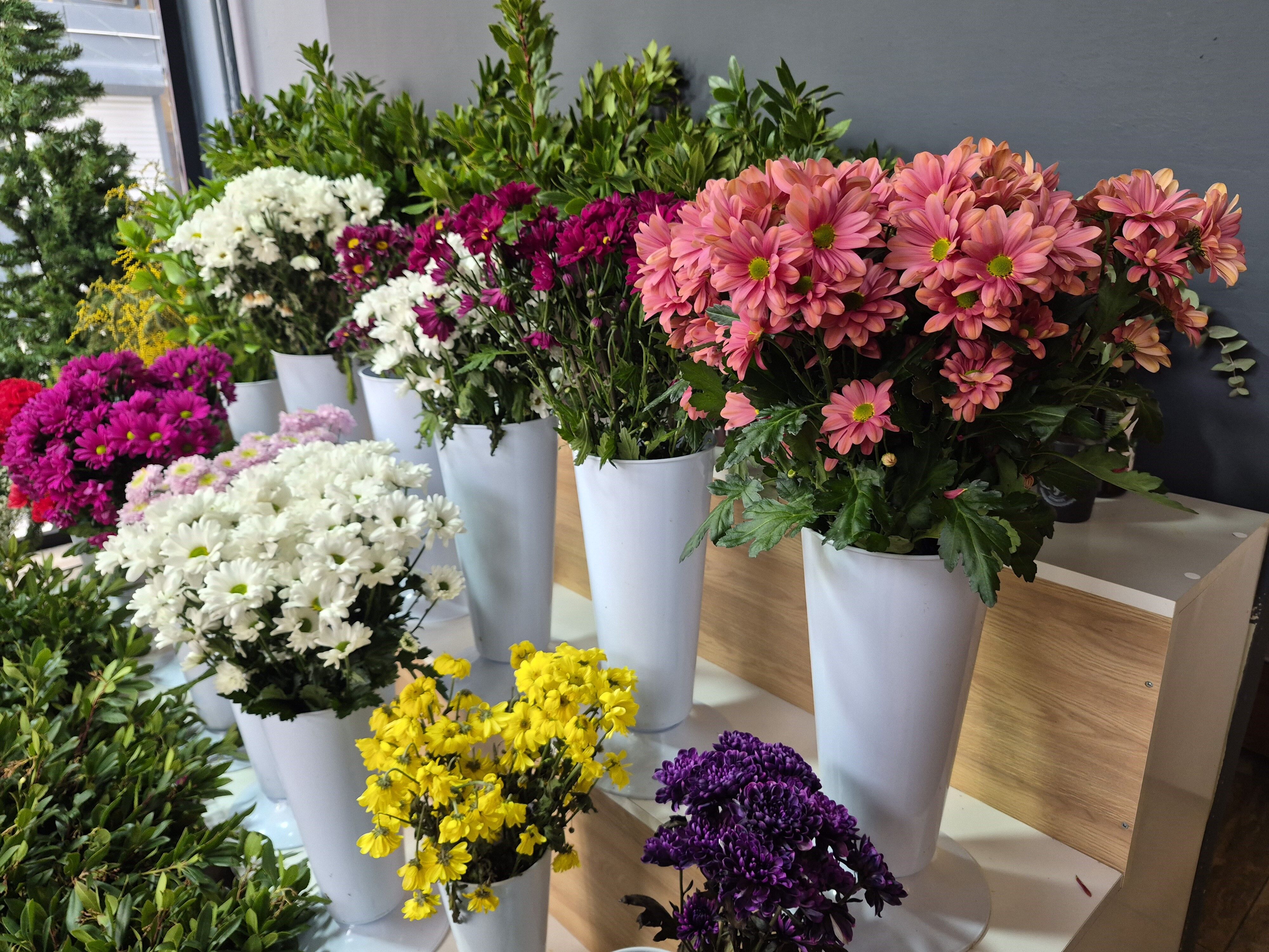 Eskişehir Çiçek (2)