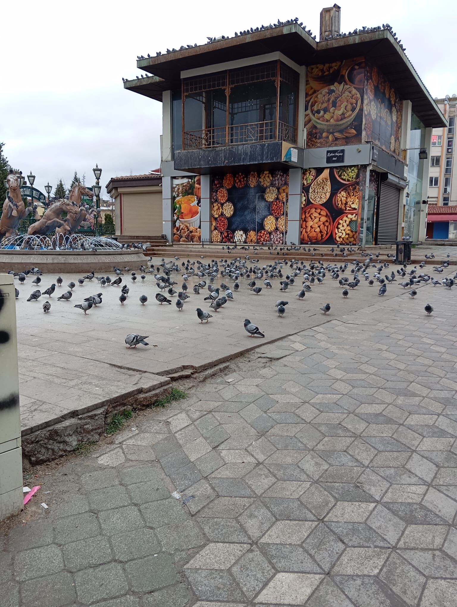 Eskişehir'de Sokaklar Sessiz Kaldı (2)