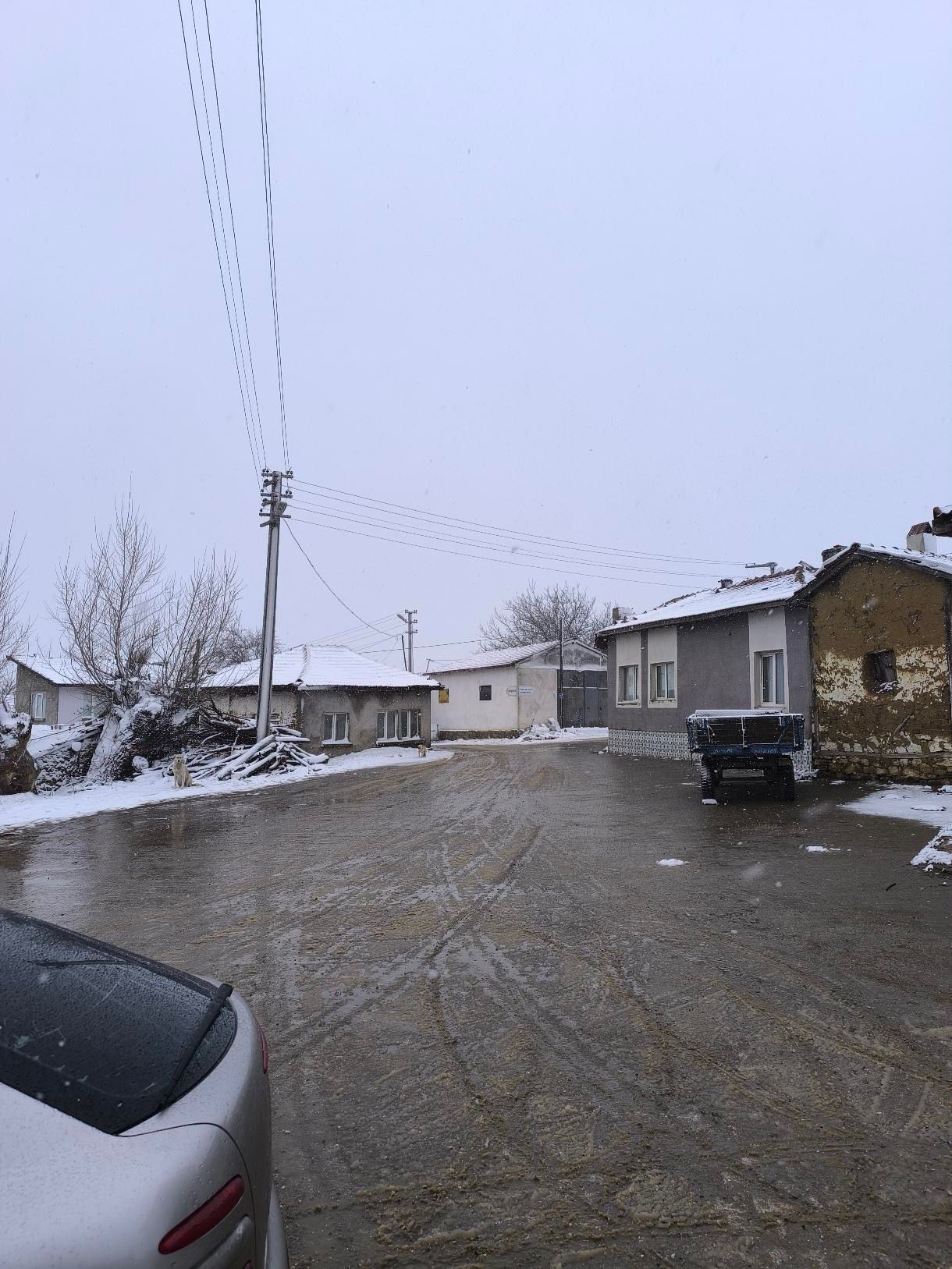 Eskişehir'e Kar Yağdı (1)