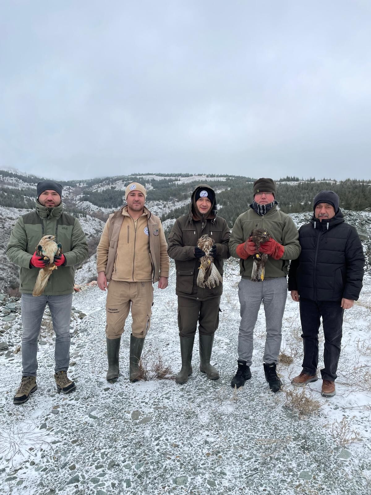 Hayvanat Bahçesi̇’nden Yaban Hayatina Umut (1)