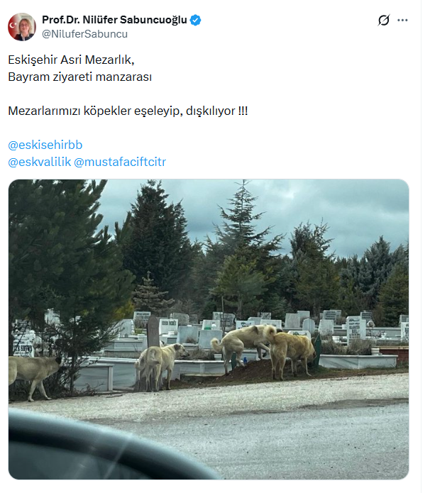 Köpek Mezar