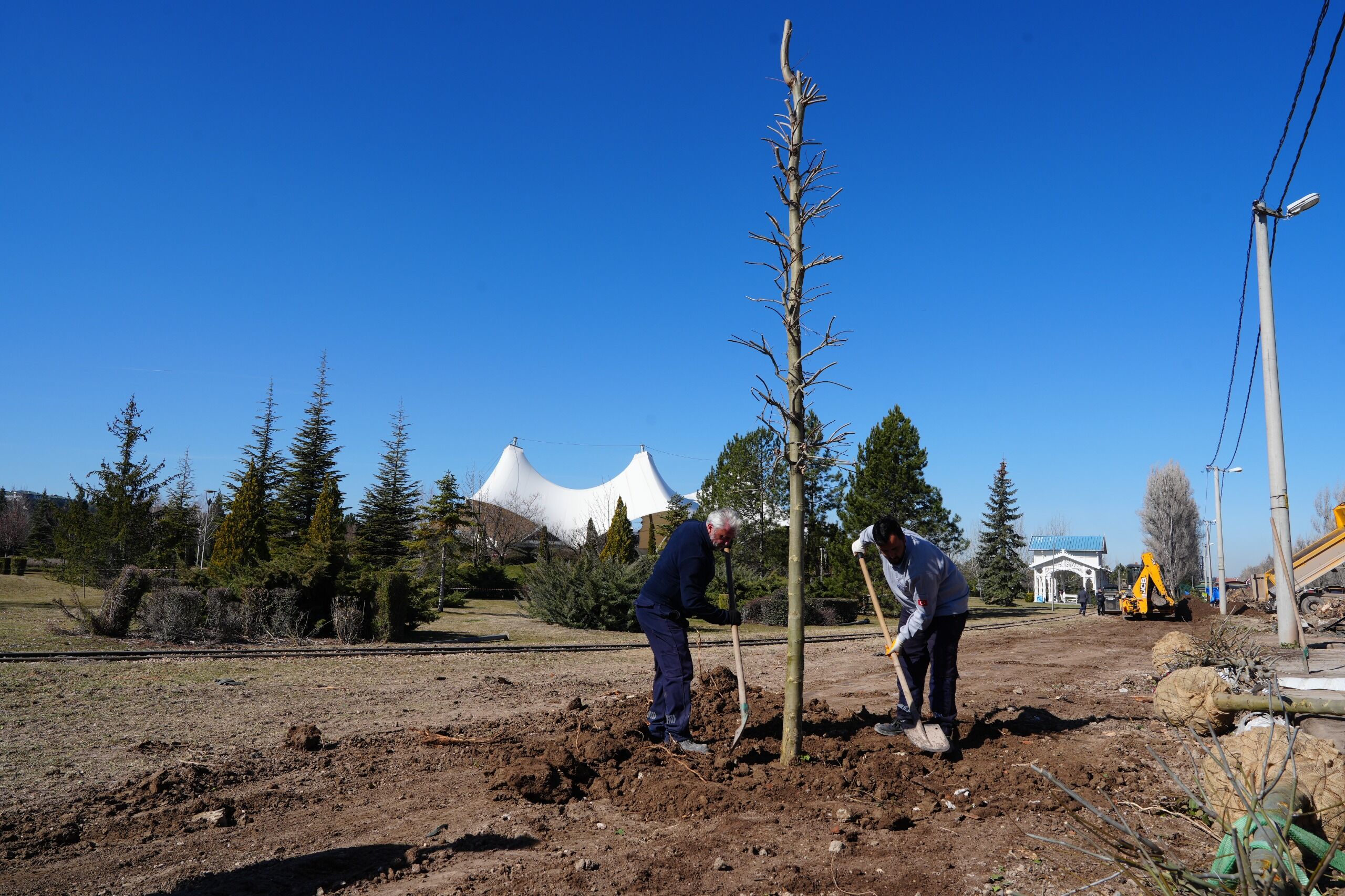 Sazova’da Çinarlar Toprakla Buluşuyor (1)