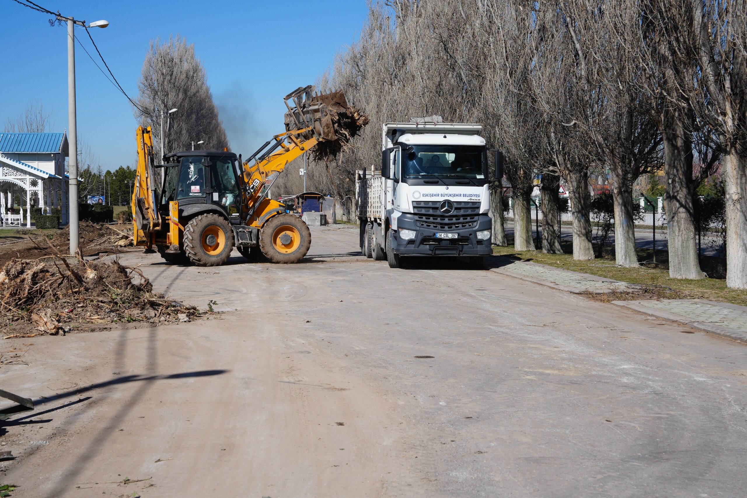 Sazova’da Çinarlar Toprakla Buluşuyor (4)
