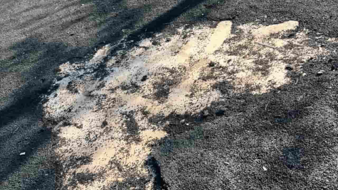 Çocuk Parkı Tehlike Saçıyor