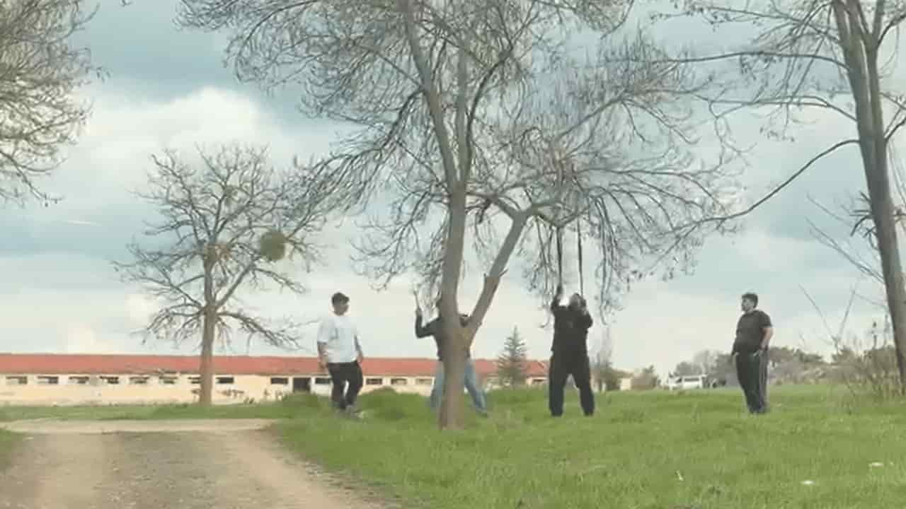 Eskişehir'de Mangal Yakmak Için Ağaç Dalını Kırmaya Çalıştılar (1)