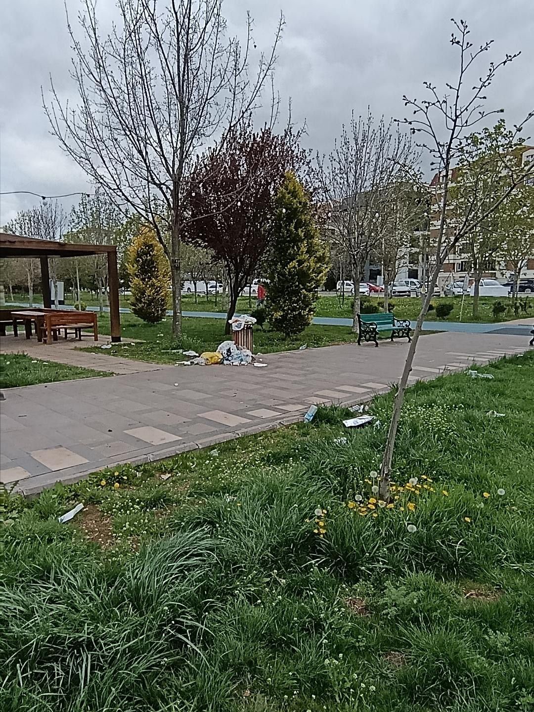Eskişehir'de Vatandaşlardan Dede Korkut Parkı Tepkisi (1)