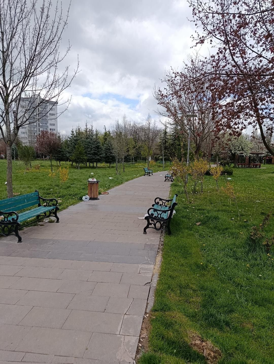 Eskişehir'de Vatandaşlardan Dede Korkut Parkı Tepkisi (2)