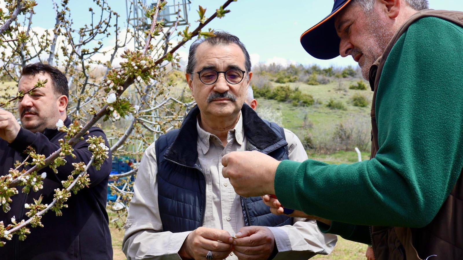 Fatih Dönmez Kiraz Tarlası (1)
