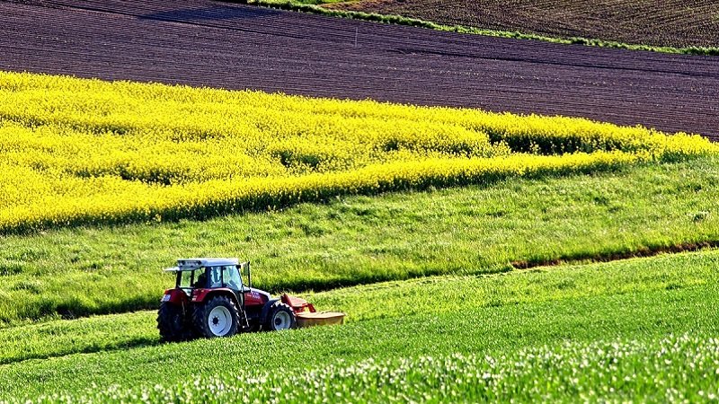 Türkiye’de çöpe giderken Avrupa’da 50 bin liradan pahalıya satılıyor