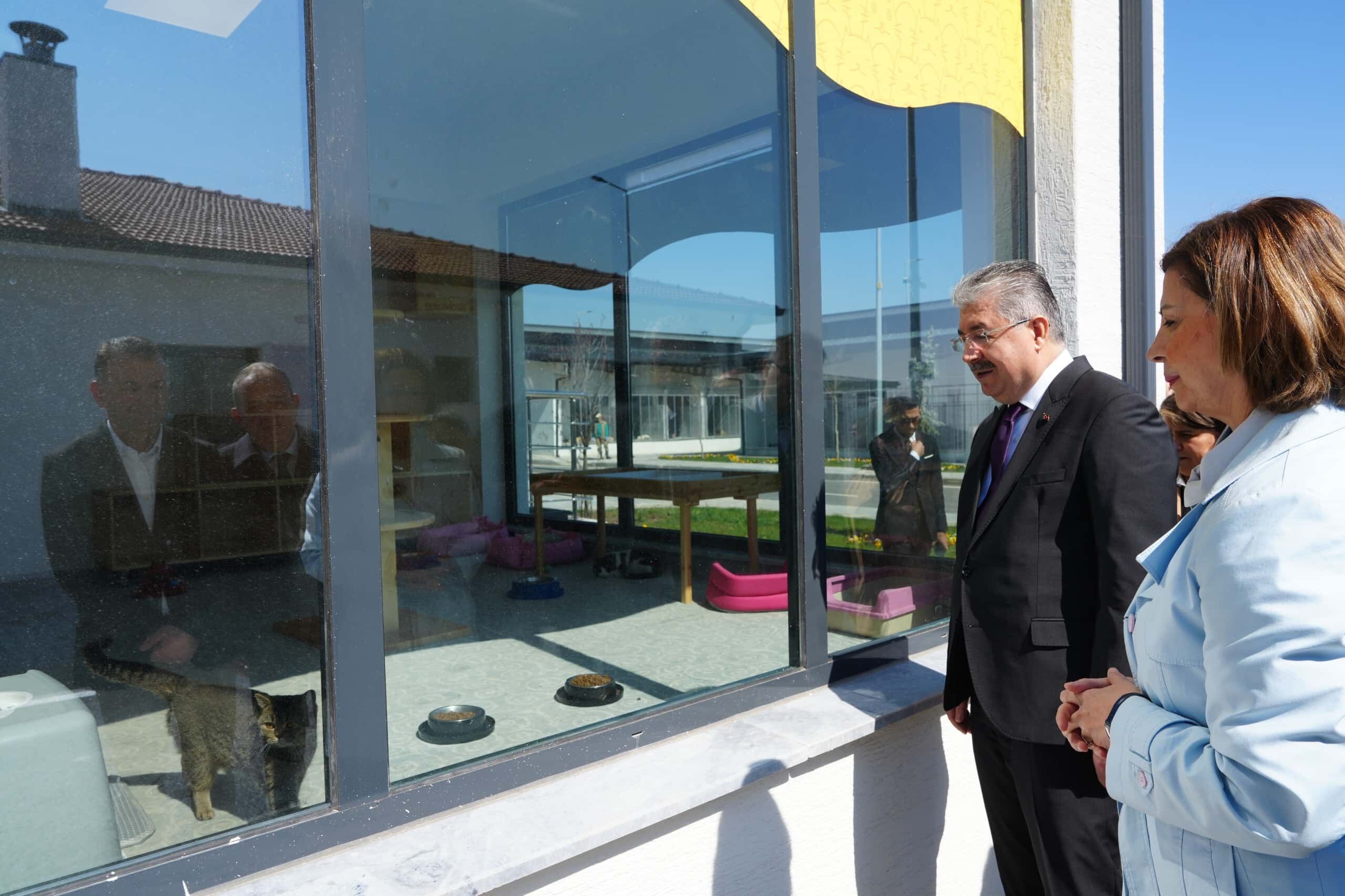 Vali̇ Yilmaz Ve Başkan Ünlüce Hayvan Bakimevi̇ni̇ Zi̇yaret Etti̇ (5) (1)