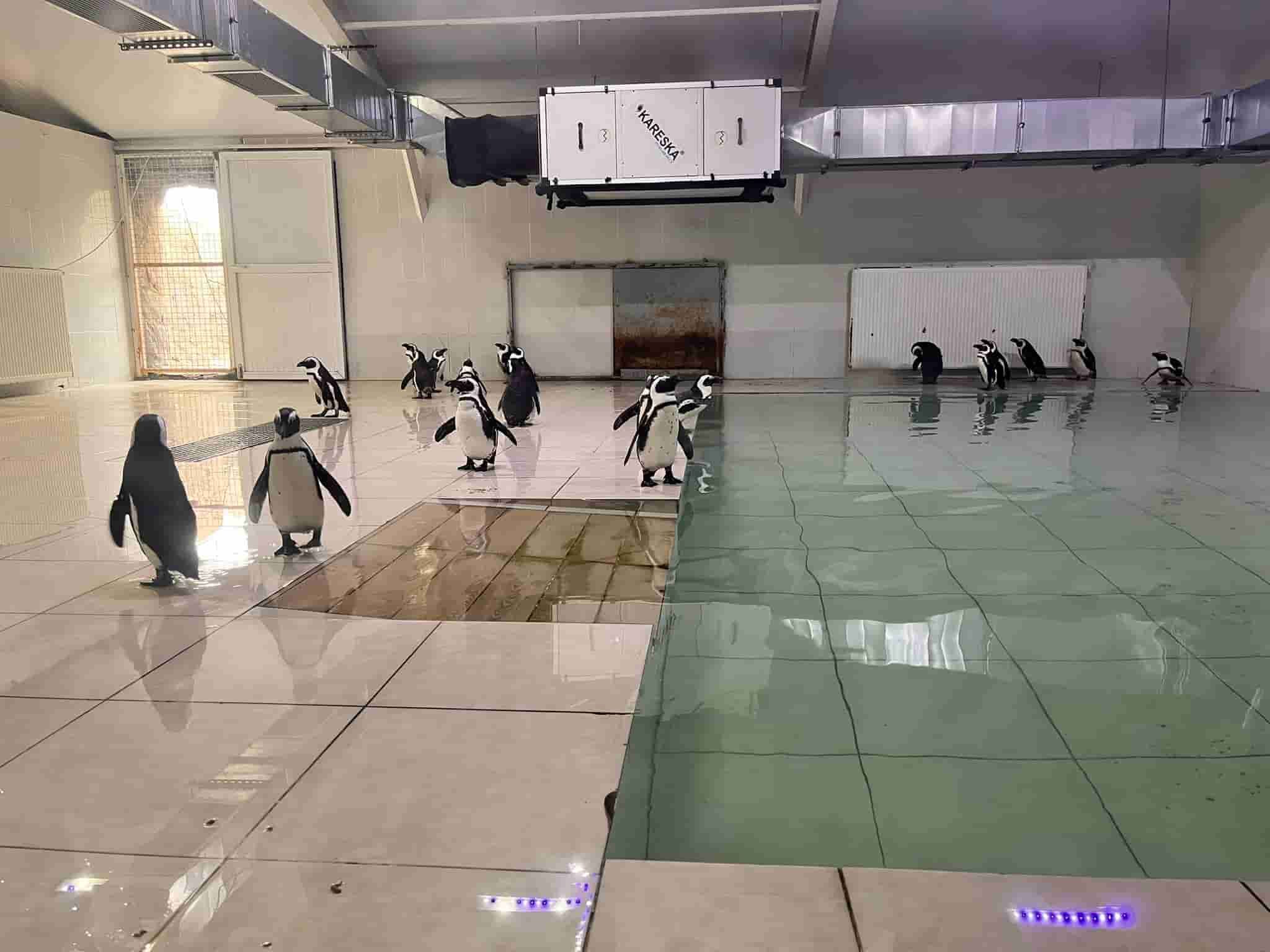 Eskişehir Hayvanat Bahçesi (3)