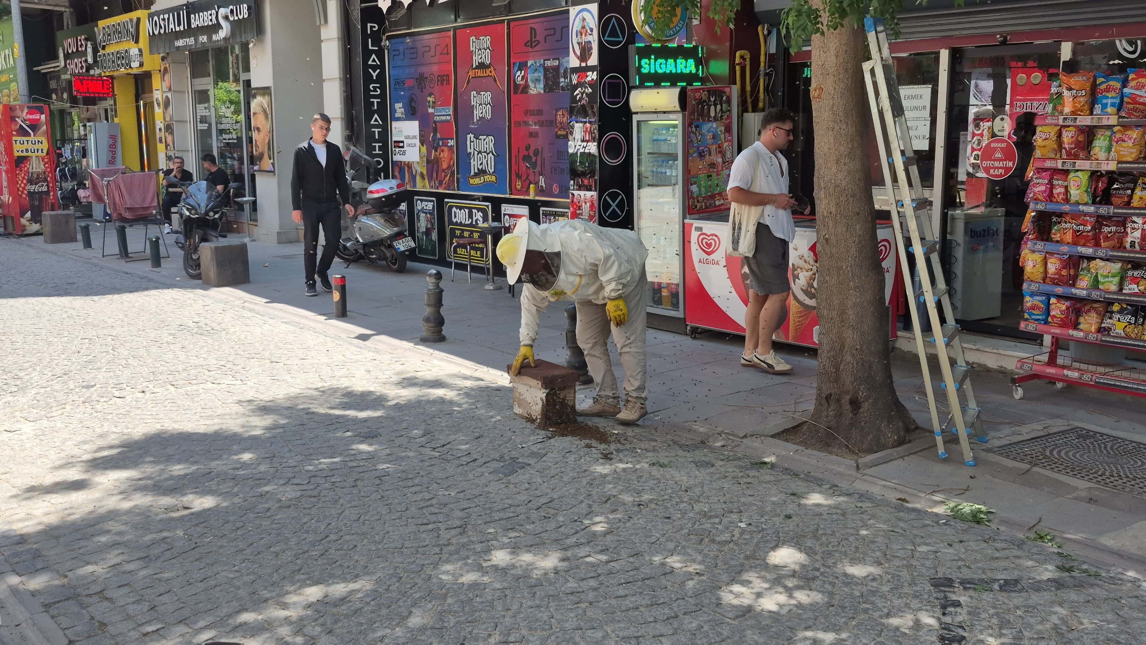 Arı Sürüsü (1)