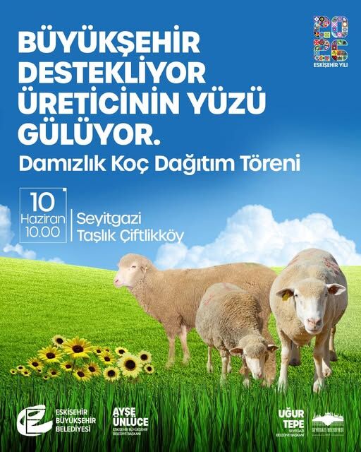 Damizlik Koc Dagitimi
