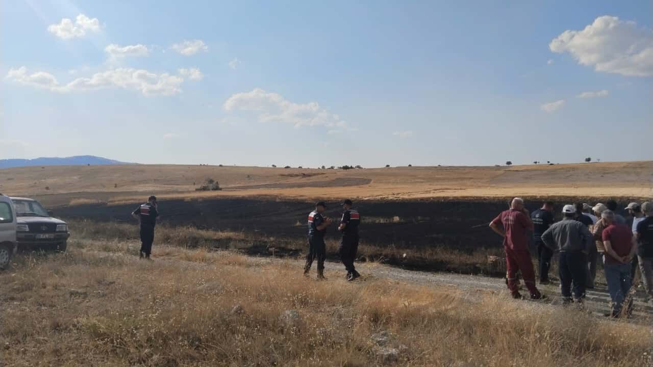 Ekin Yangını