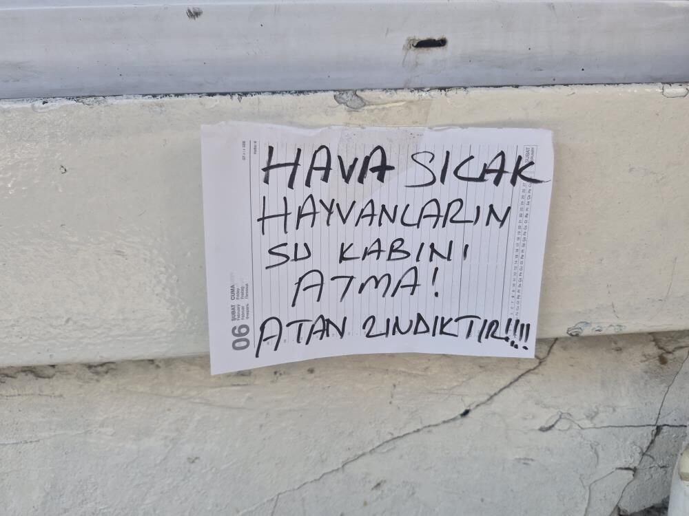 Eskisehirde Su Kabini Atanlara Ilginc Isyan Atan Zindiktir2
