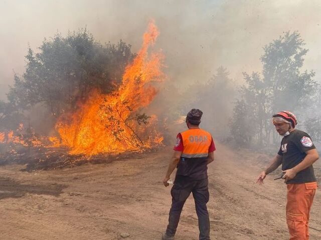 Eskisehirin Yuregini Daglayan Seyitgazi Yangininin Uzerinden Bir Yil Gecti2