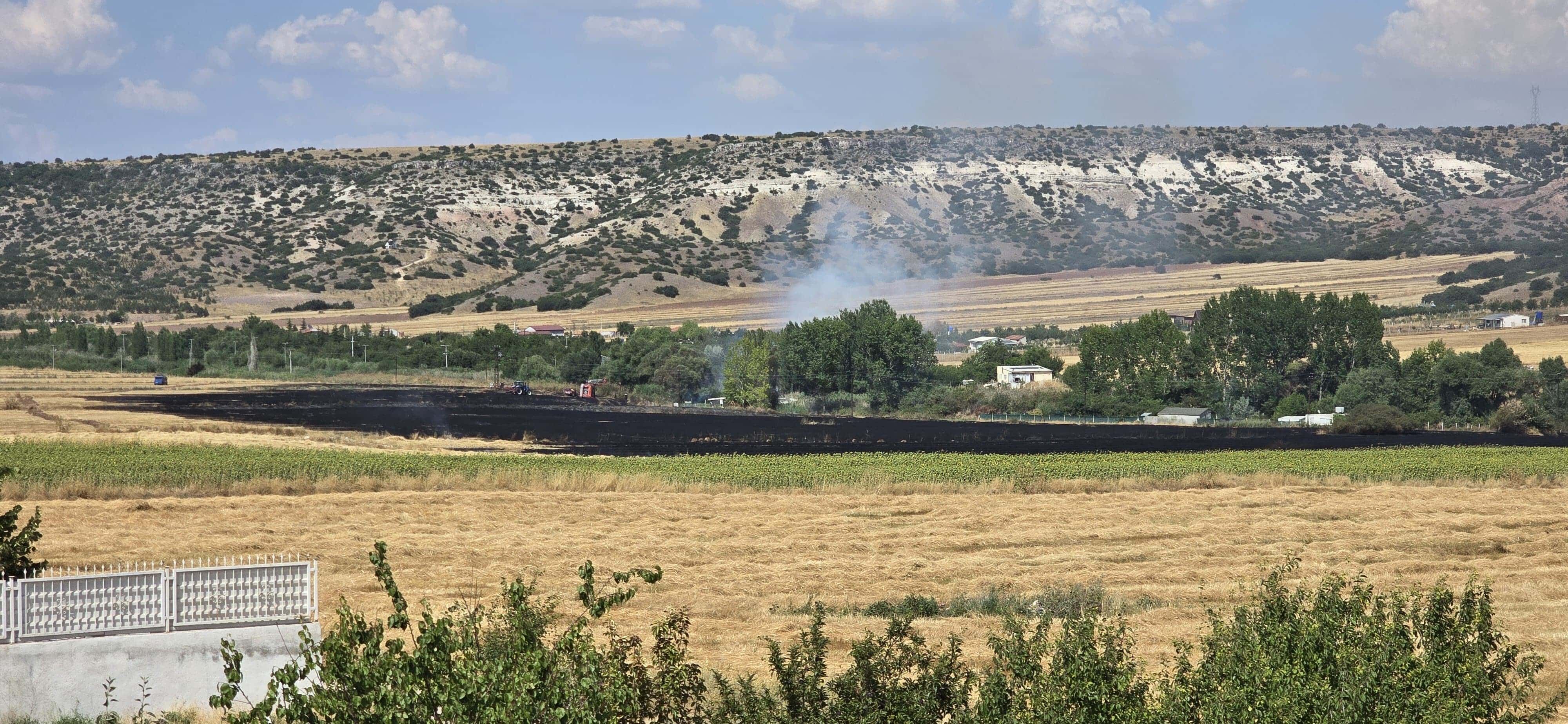 Anız Yangını (2)