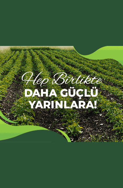Pancar Ekicileri Kooperatifi