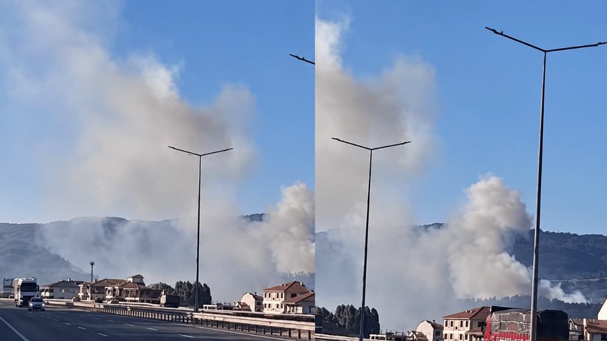 Bilecik Yolu Yangın (1)