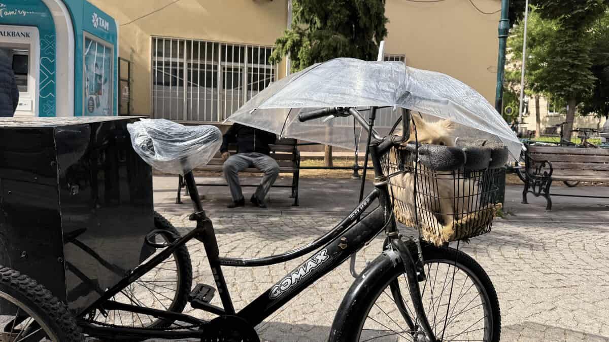 Bisiklet Sepetindeki Köpeğini Yağmurdan Şemsiye Ile Korudu