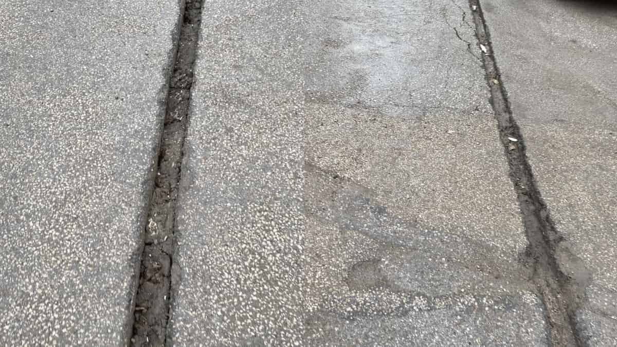 Çamlıca Mahallesi1