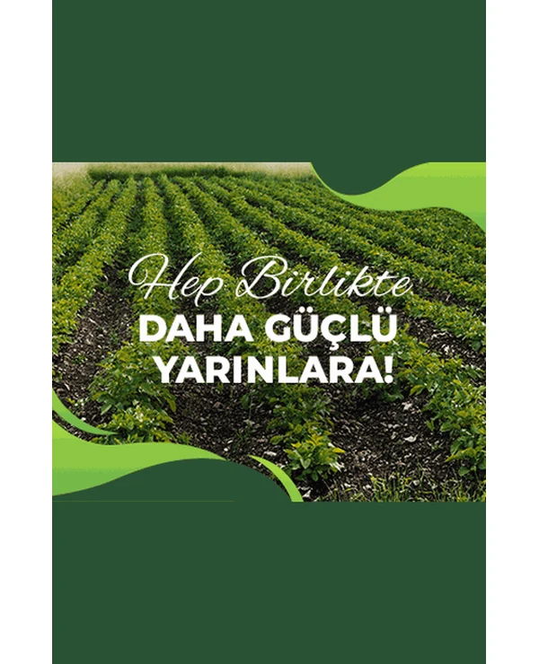 Pancar Ekicileri Kooperatifi