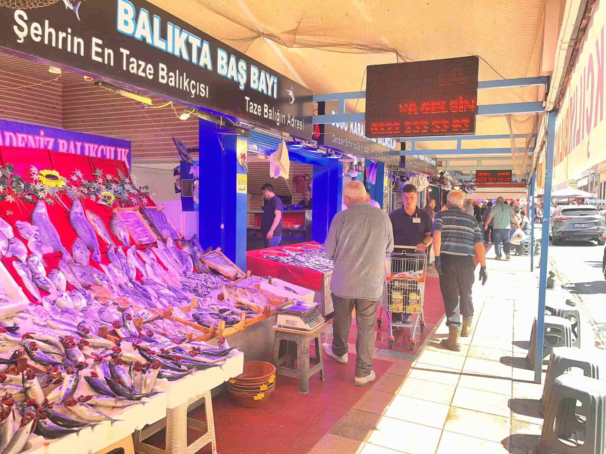 balıkçı-1