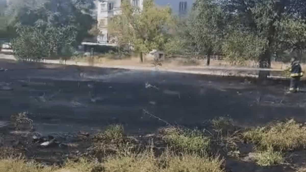 Eskişehir’de otluk alanda yangın paniği