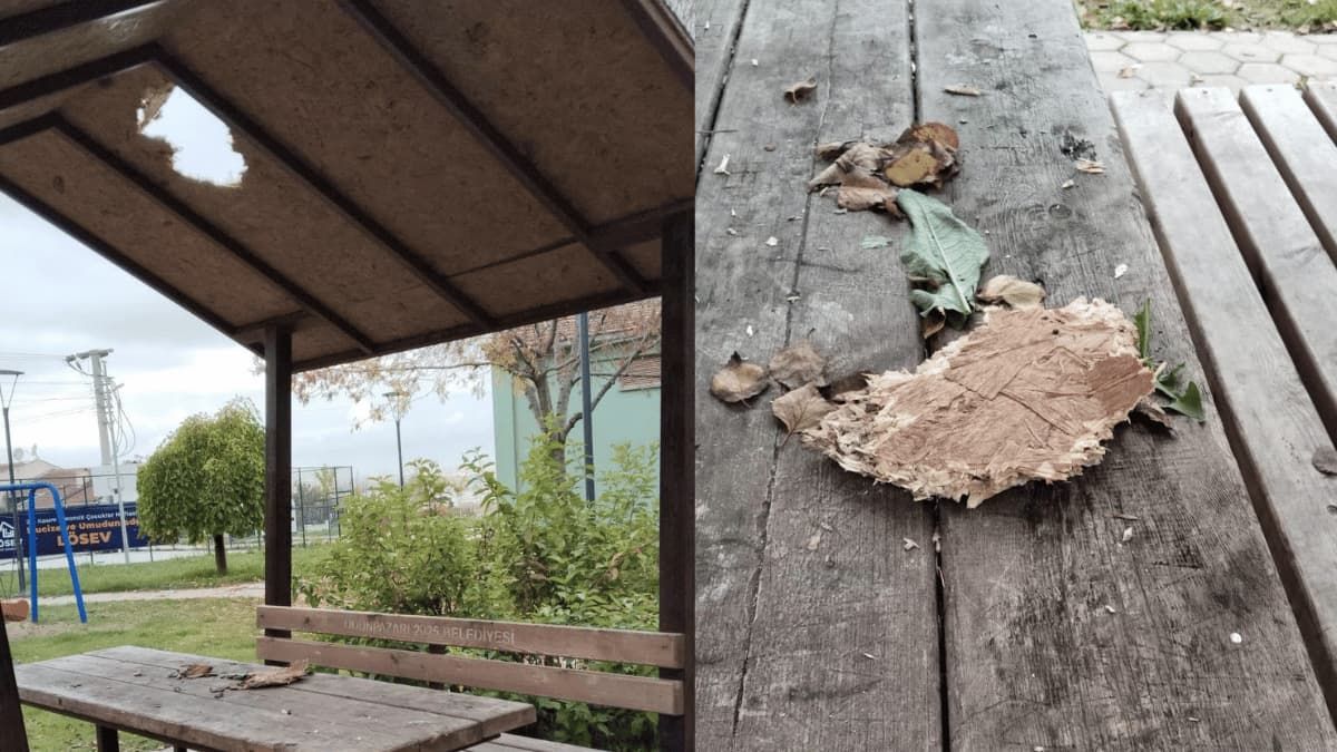 75.Yıl Mahalle Muhtarı
