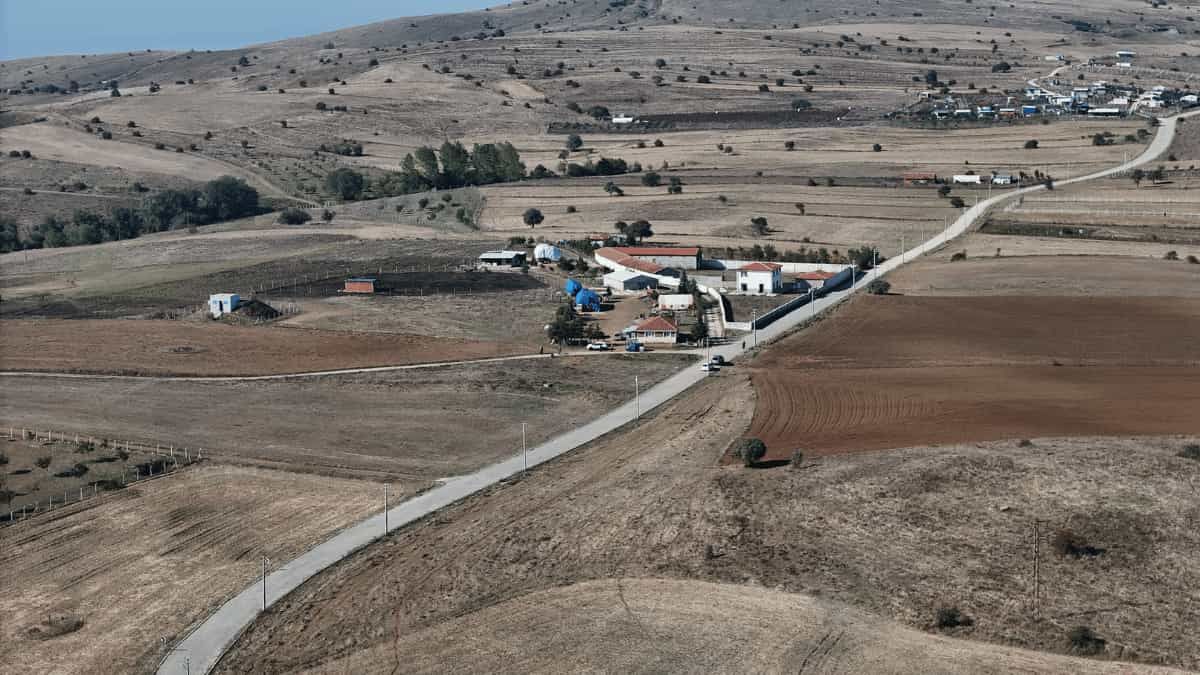 Hayatını Adadığı Yeğeni Katili Oldu1