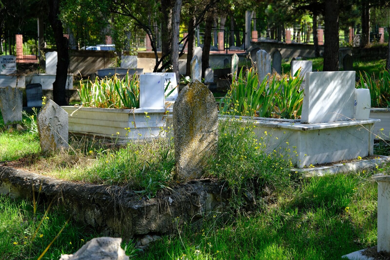Mezar Yeri Zammı